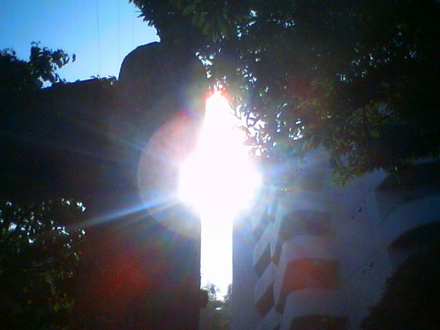 Light is Real